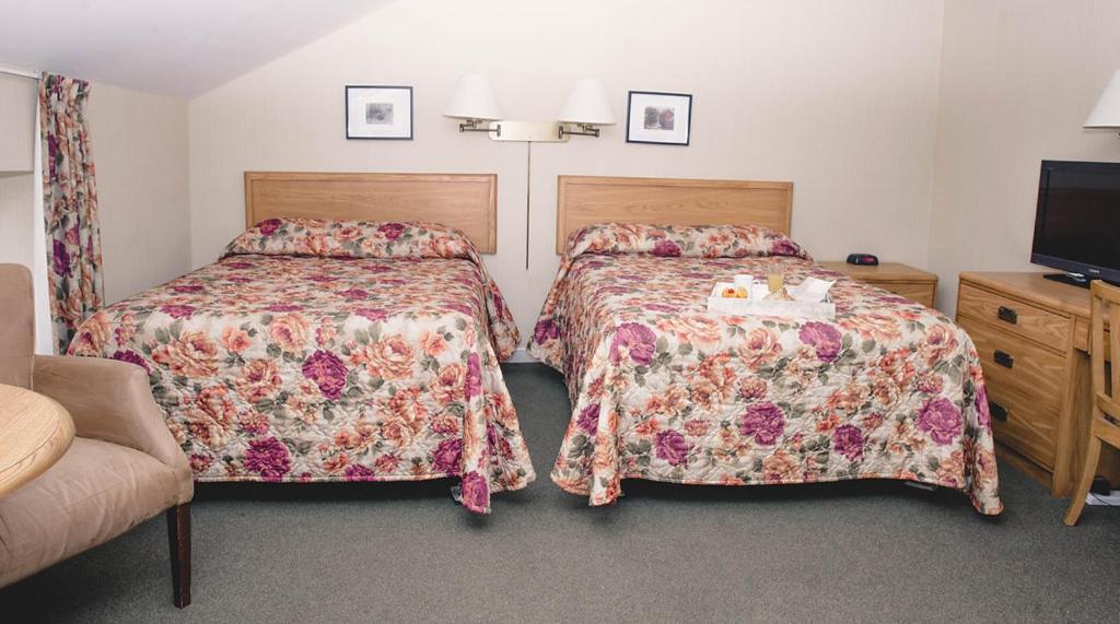 The Queen'S Inn Kingston Bagian luar foto